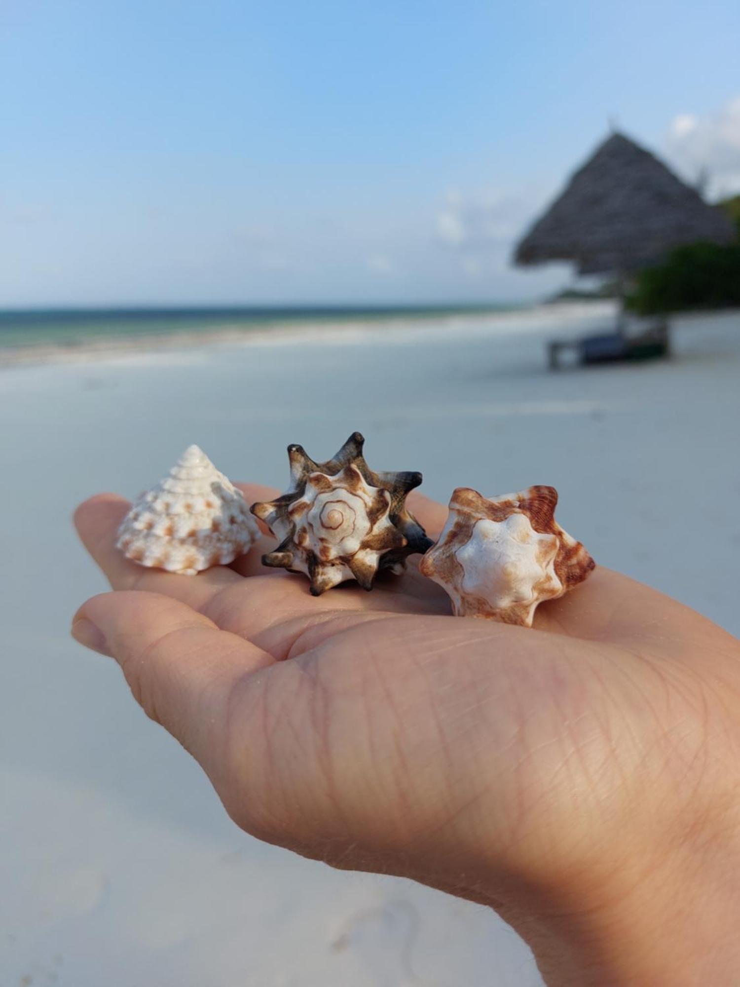 Stonefish Inn Jambiani Jambiani  Ngoại thất bức ảnh